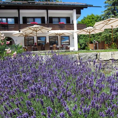 Seehof Apartments ヴァルヒェンゼー エクステリア 写真